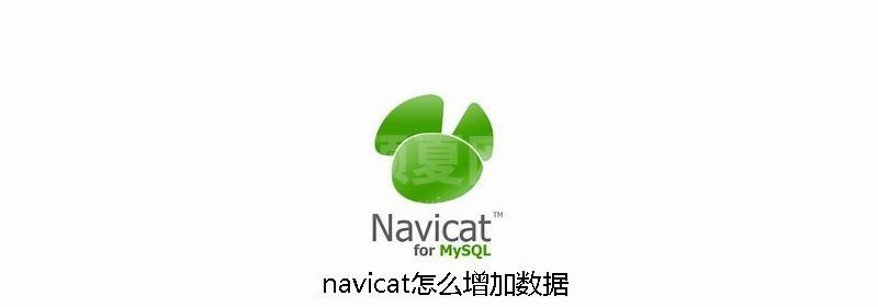 navicat怎么增加数据