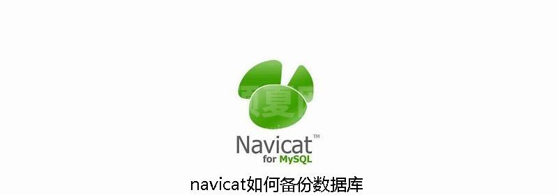 navicat如何备份数据库