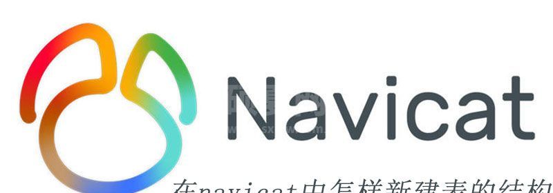 在navicat中怎样新建表的结构