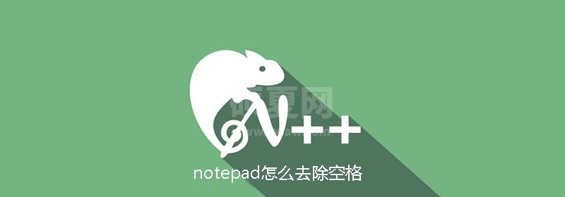 notepad怎么去除空格