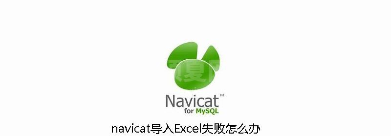 navicat导入Excel失败怎么办