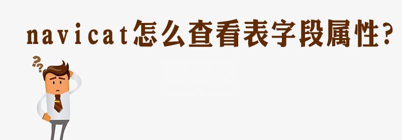 navicat怎么查看表字段属性