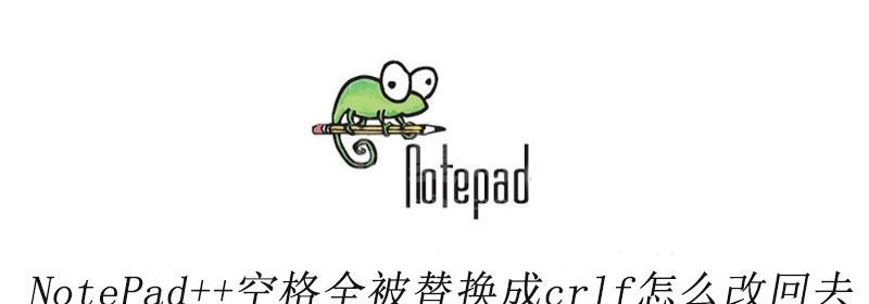 NotePad++空格全被替换成crlf怎么改回去