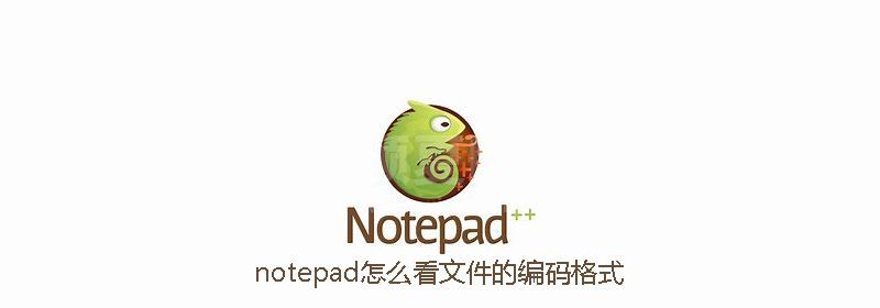 notepad怎么看文件的编码格式