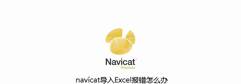 navicat导入Excel报错怎么办