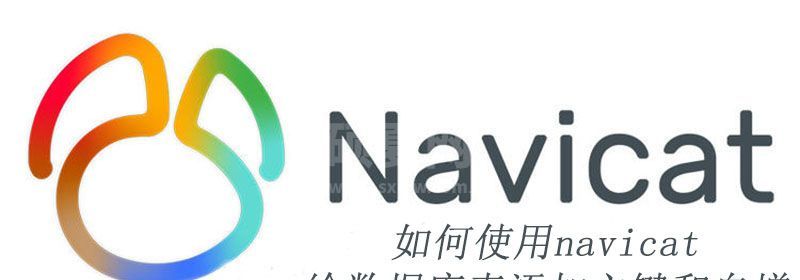 如何使用navicat给数据库表添加主键和自增