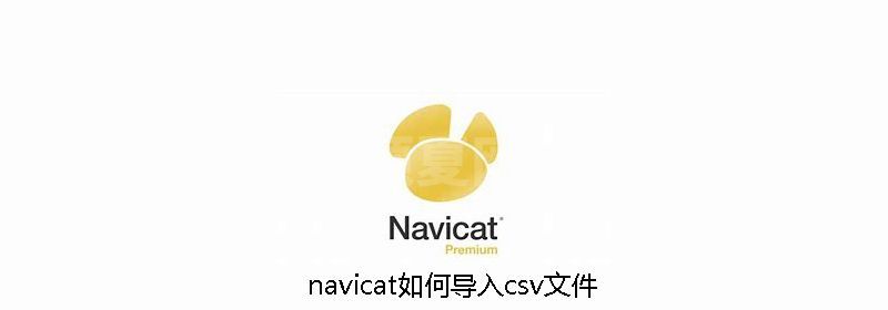 navicat如何导入csv文件