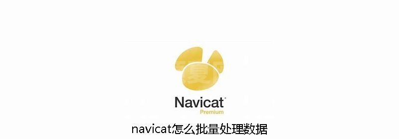 navicat怎么批量处理数据