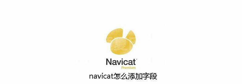 navicat怎么添加字段