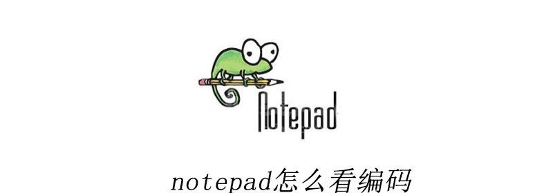 notepad++怎么看编码