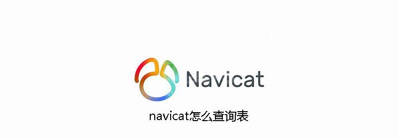 navicat怎么查询表