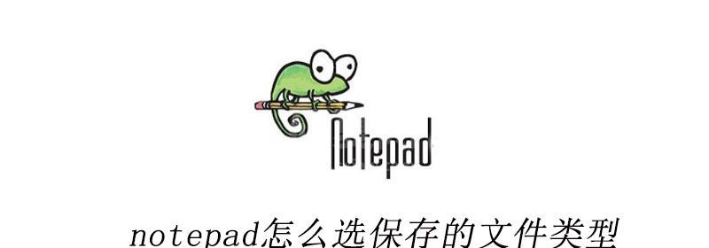 notepad++怎么选保存的文件类型