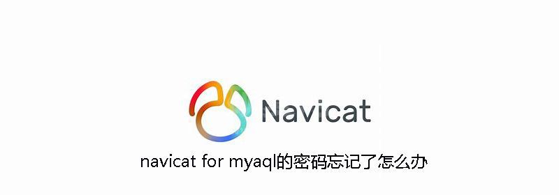 navicat for myaql的密码忘记了怎么办