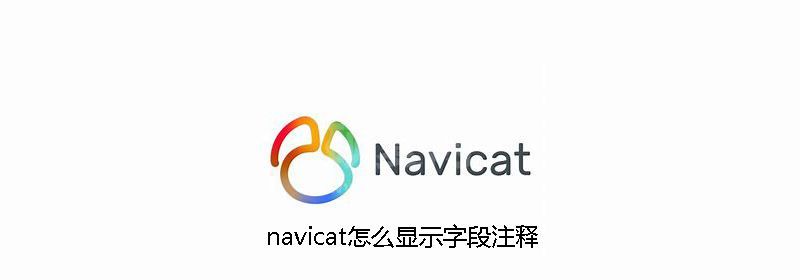 navicat怎么显示字段注释