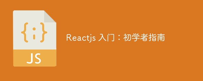 Reactjs 入门：初学者指南