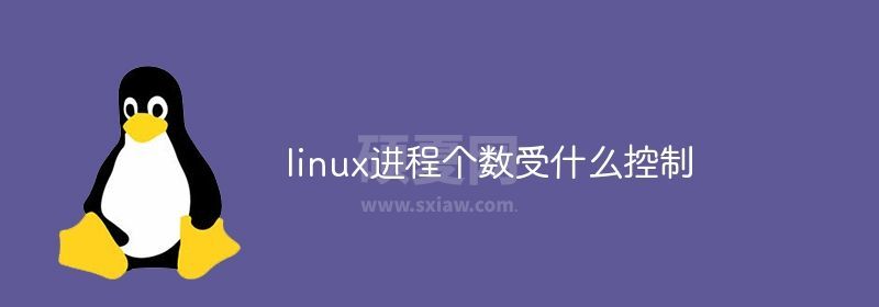 linux进程个数受什么控制