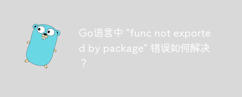 Go语言中 “func not exported by package” 错误如何解决？