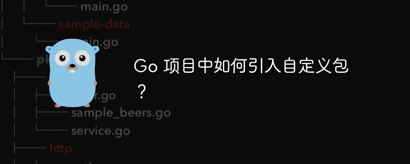 Go 项目中如何引入自定义包？