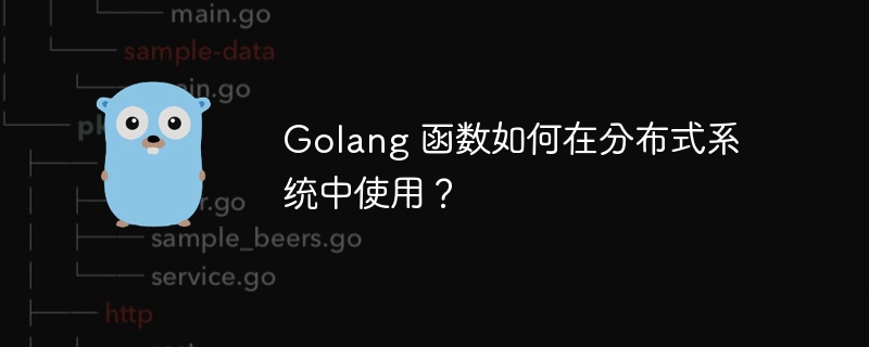 Golang 函数如何在分布式系统中使用？