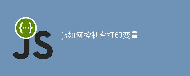 js如何控制台打印变量