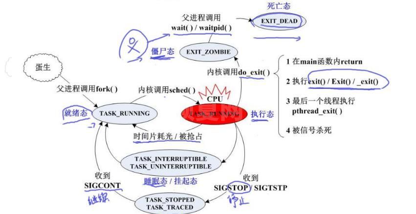 linux可不可以创建多个进程