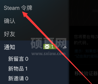 Steam中救援代码怎么看？Steam中看救援代码的方法截图