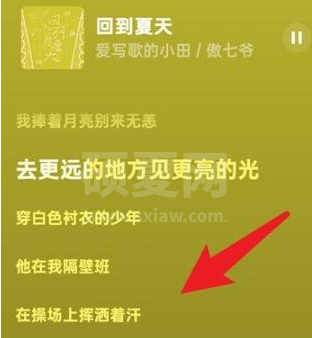 汽水音乐怎么看歌词？汽水音乐看歌词的具体操作截图