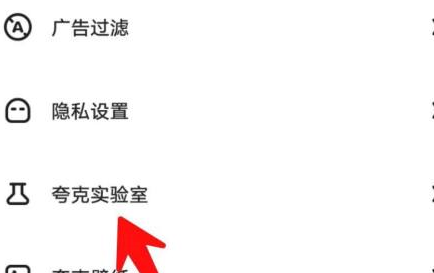 夸克浏览器的夸克彩蛋如何玩？夸克浏览器玩夸克彩蛋的具体方法截图