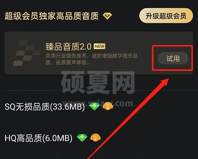 QQ音乐怎么开启臻品音质2.0？QQ音乐开启臻品音质2.0教程截图