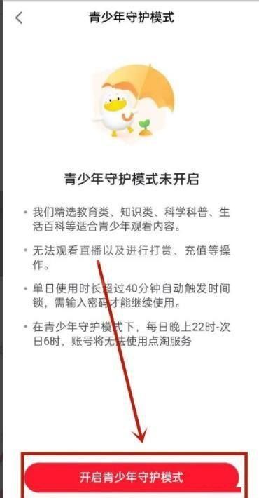 点淘怎么设置未成年模式?点淘设置未成年模式教程截图