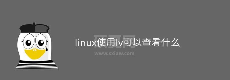 linux使用lv可以查看什么