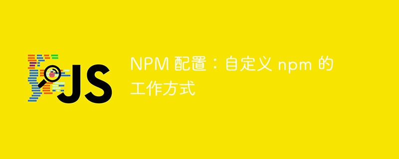 NPM 配置：自定义 npm 的工作方式