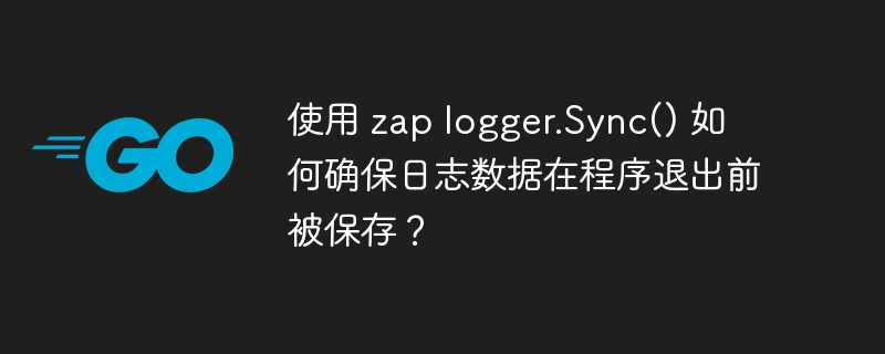 使用 zap logger.Sync() 如何确保日志数据在程序退出前被保存？