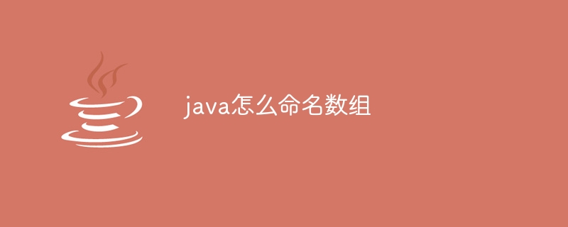 java怎么命名数组