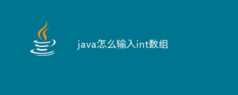 java怎么输入int数组