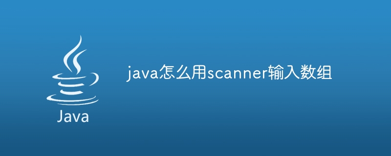 java怎么用scanner输入数组