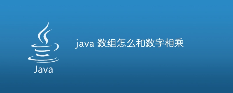 java 数组怎么和数字相乘