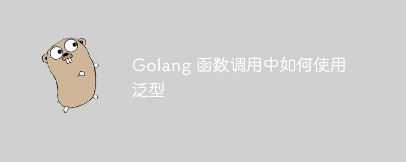 Golang 函数调用中如何使用泛型