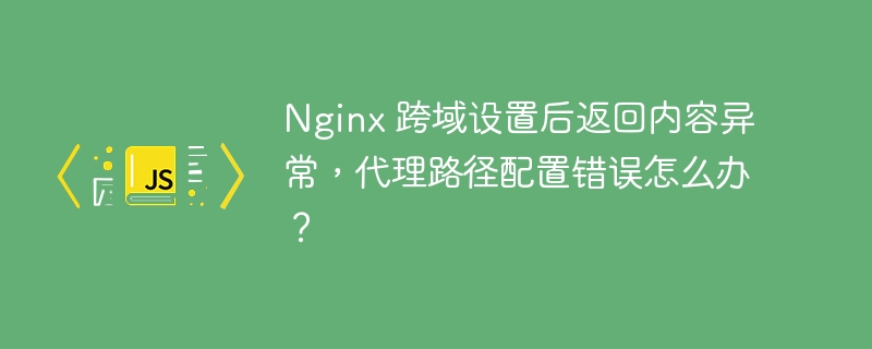 Nginx 跨域设置后返回内容异常，代理路径配置错误怎么办？