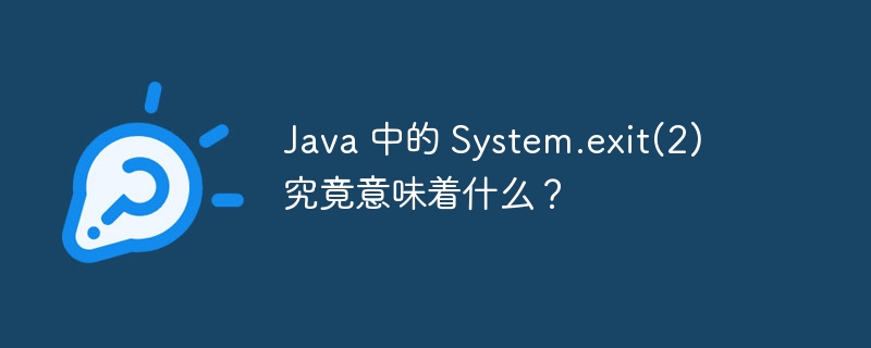 java 中的 system.exit(2) 究竟意味着什么？