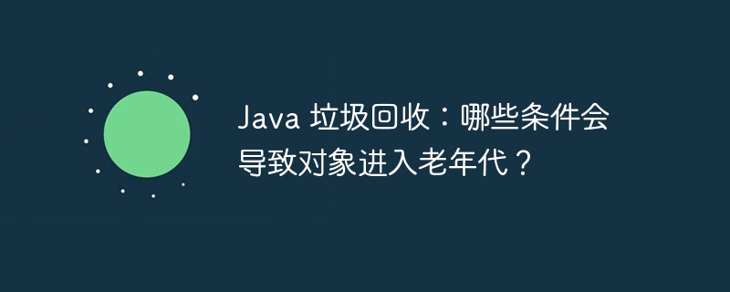 Java 垃圾回收：哪些条件会导致对象进入老年代？