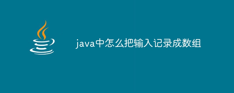 java中怎么把输入记录成数组