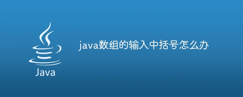 java数组的输入中括号怎么办