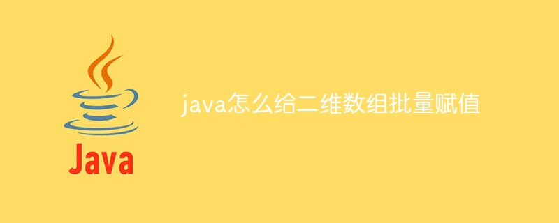 java怎么给二维数组批量赋值