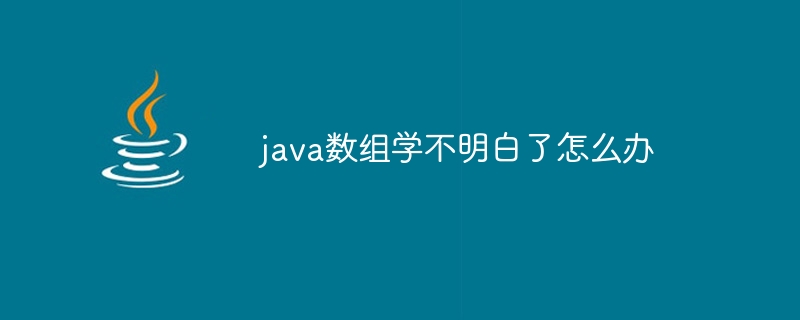 java数组学不明白了怎么办