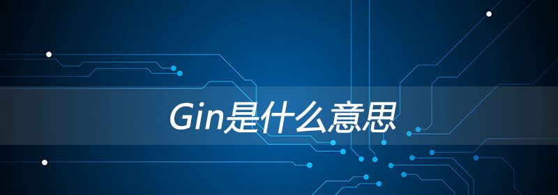 gin是什么意思？