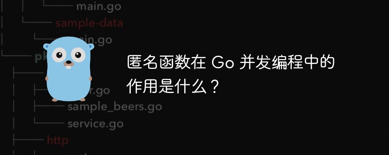 匿名函数在 Go 并发编程中的作用是什么？