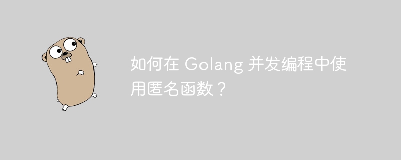 如何在 Golang 并发编程中使用匿名函数？