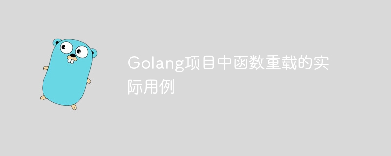 Golang项目中函数重载的实际用例