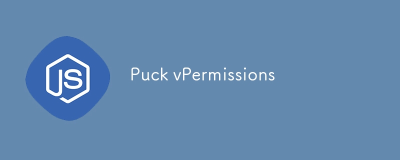 Puck vPermissions